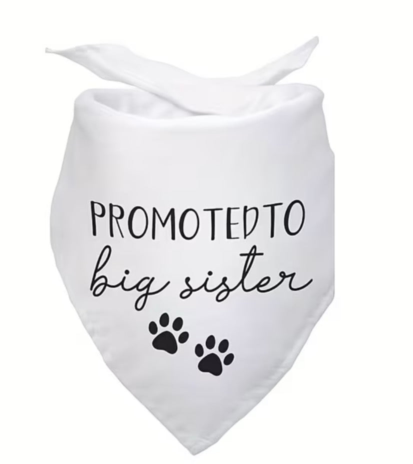 🐾✨Dog Bandana add on✨🐾